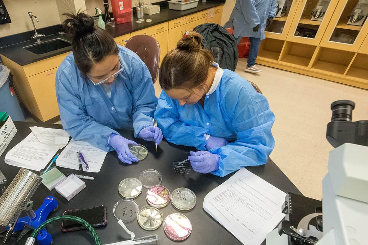 Two San Juan College students preparing samples in the biology lab